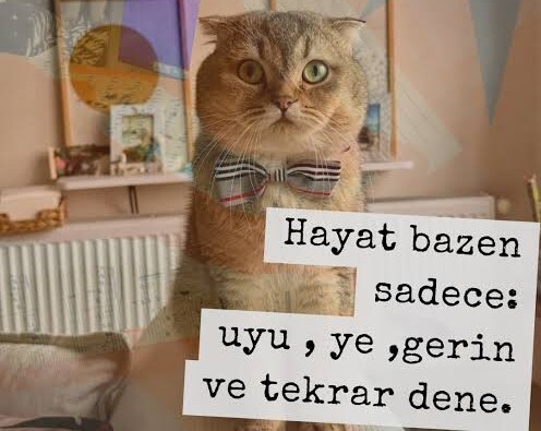 Hayattan umduğunu aldın mı?
