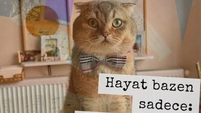 Hayattan umduğunu aldın mı?