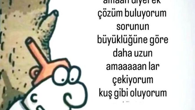 Günlük hayatta karşılaştığınız sorunları pratik olarak nasıl çözüyorsunuz?