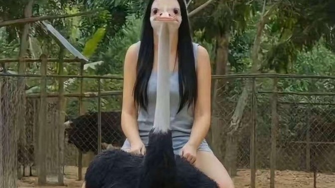 Deve kuşu eti yenir mi?