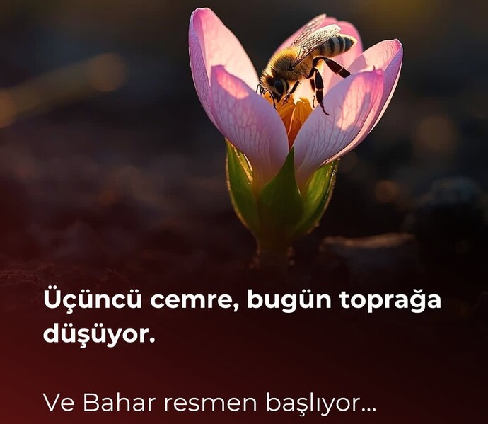 Üçüncü cemre toprağa düşmüş, dördüncü de kalbimize düşer mi sizce?