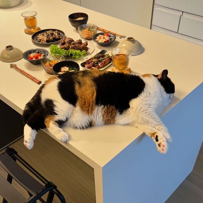 Sahurda çok yemek yiyebiliyor musunuz yoksa iştahınız hiç olmuyor mu?