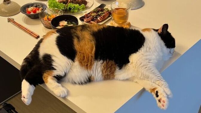 Sahurda çok yemek yiyebiliyor musunuz yoksa iştahınız hiç olmuyor mu?