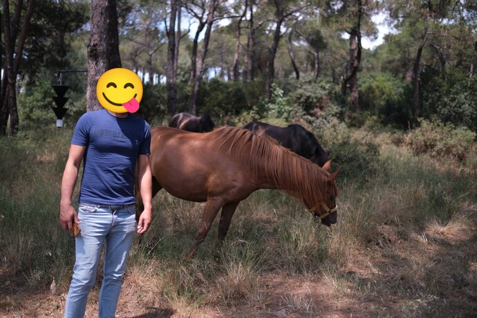 Kızlar, Nasılım sizce fizik olarak?