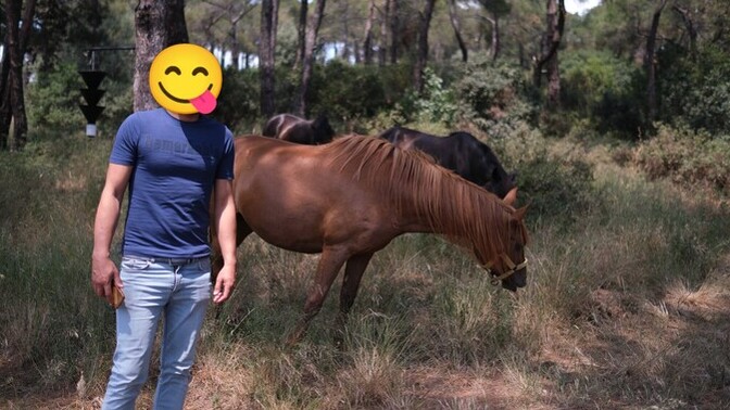 Kızlar, Nasılım sizce fizik olarak?