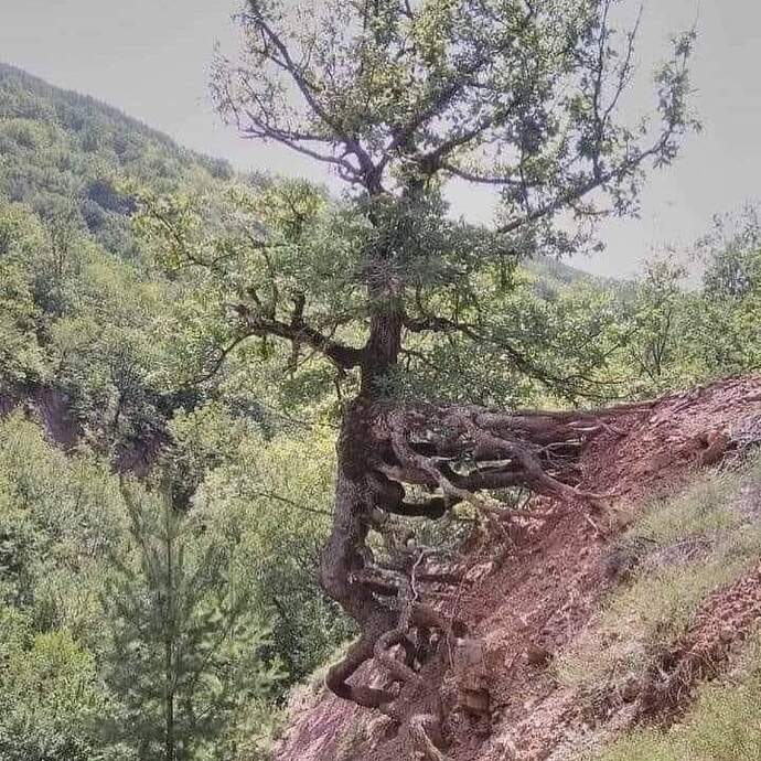 İnatçı mısınız, kolay pes eden mi?
