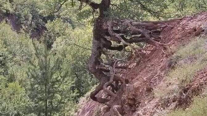 İnatçı mısınız, kolay pes eden mi?