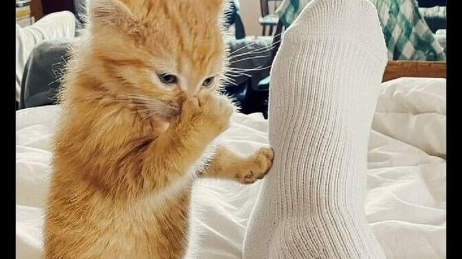 Ayağı kokan insanlara dikkat etmesi gerektiğini rahatlıkla söyleye bilirmisiniz?