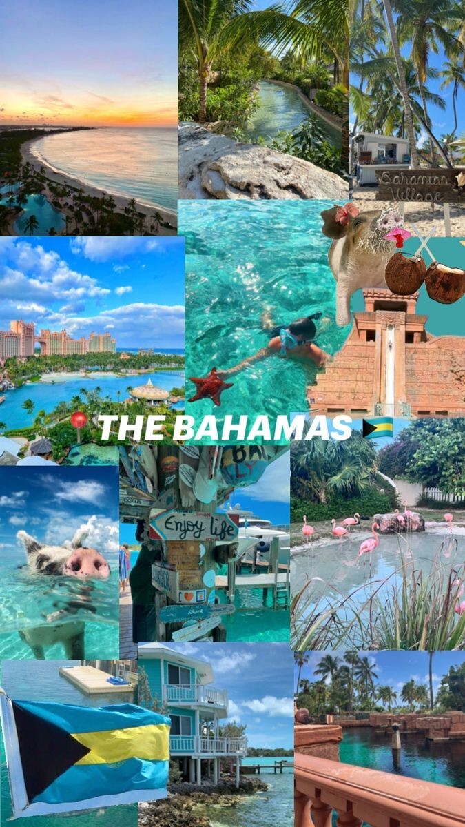 Tatile nereye gidelim, Bahamalar mı Petra mı Paris mi yoksa Muğla Fethiye mi sizce kim haklı?