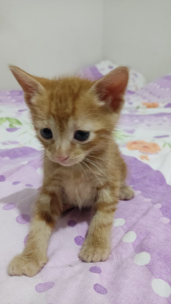Bana bişey diyonuz mu?