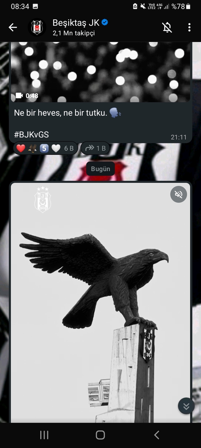 🦅🦅🦅