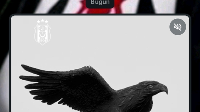 Bugün günlerden derbi ✨ BJK mı GS mı kim alır?