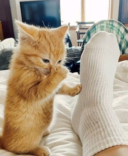 Ayağı kokan insanlara karşı tepkiniz nasıl?