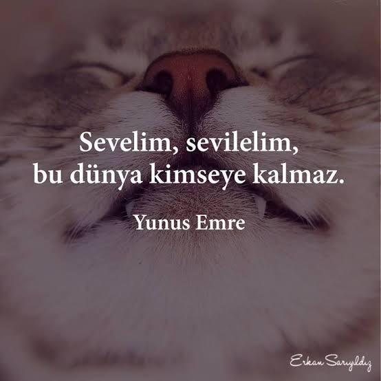 Sevgi nedir sizce, gerçekten tarif edilebilir mi yoksa sadece hissedilen bir şey mi?