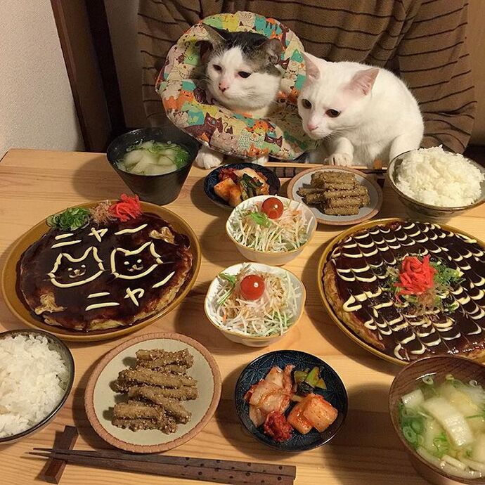 Hafta sonu iftar yemeği daveti versem forumdan kimler gelir, kimler katılırdı, kimi alır gelirdiniz?