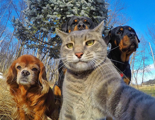 Ne tarz fotoğraflar çekmeyi seversiniz?