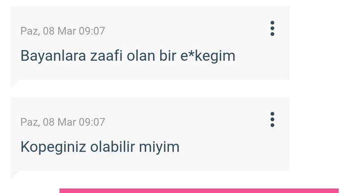 Yeni köpüşümün adı ne olsun?