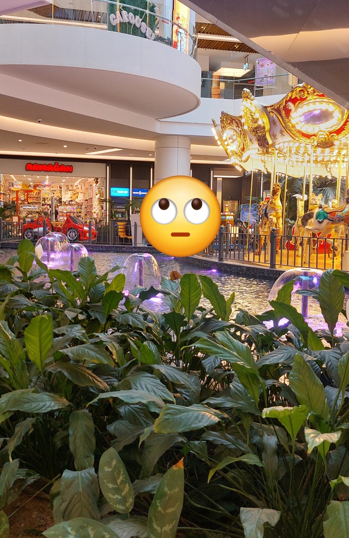 Bayram alışverişi yapıyor musunuz?