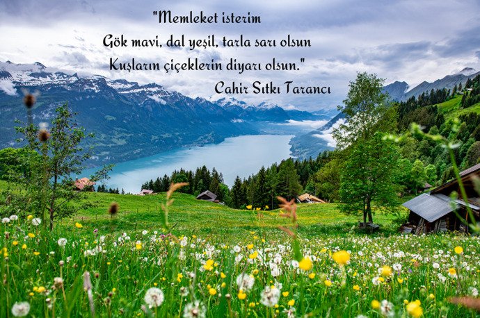 Memleketinizde mi yaşıyorsunuz? Yoksa başka bir yerde mi?