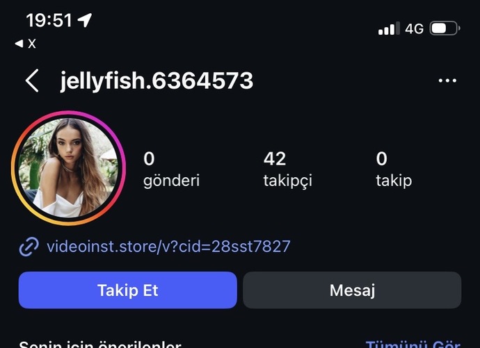 Sürekli hesaplarıma bakan fake hesaplar nedir, tehlikeli mi yoksa normal mi?