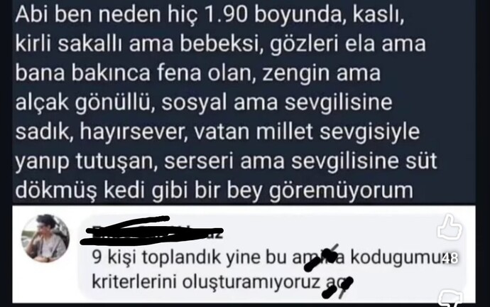 Sizin ideal kadın / erkek kriterleriniz neler?