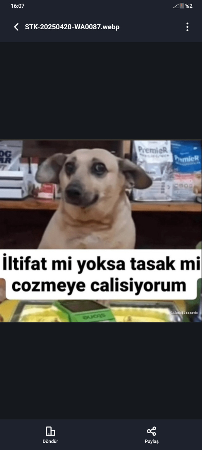 Galerinizde garip görseller var mı?