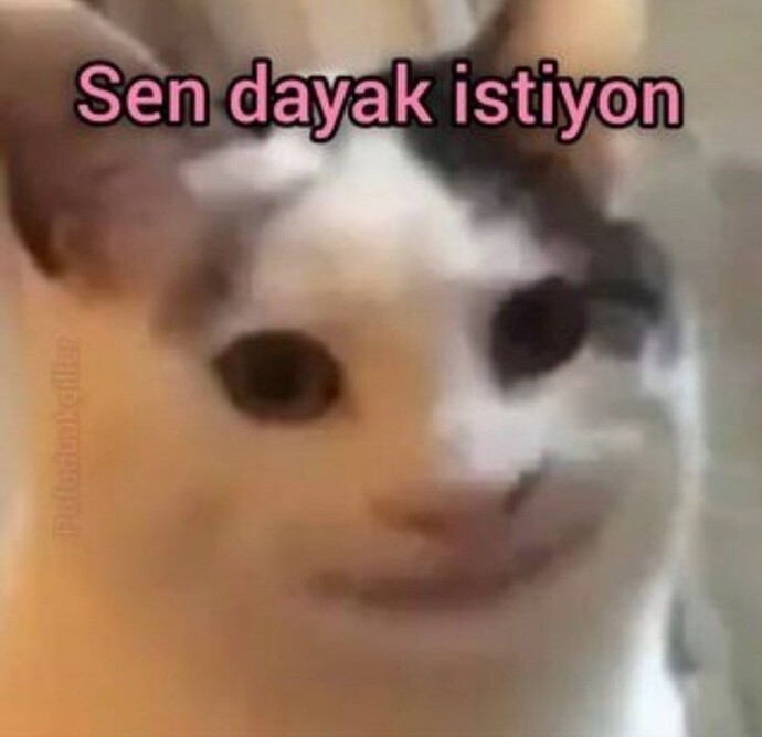 Galerinizde garip görseller var mı?