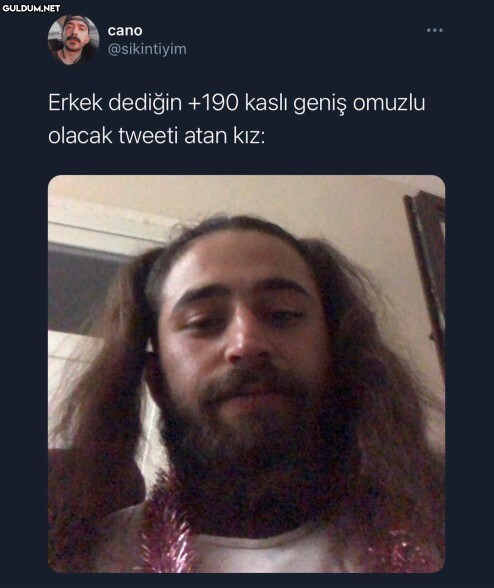 Bana rastgele bir resim atabilir misin?