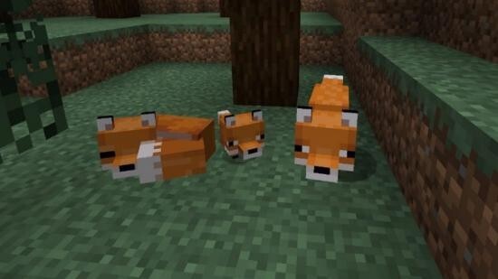 Sen hangi Minecraft canlısı olurdun söylememi ister misin?