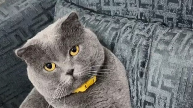 Herşeyi kafaya takıp dert edenlerden misiniz yoksa dünya yansa umrumda olmaz diyenlerden misiniz?
