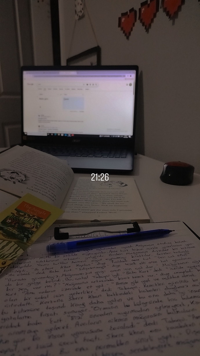 İngilizce seviyeniz ne, çeviri yapabiliyor musunuz?