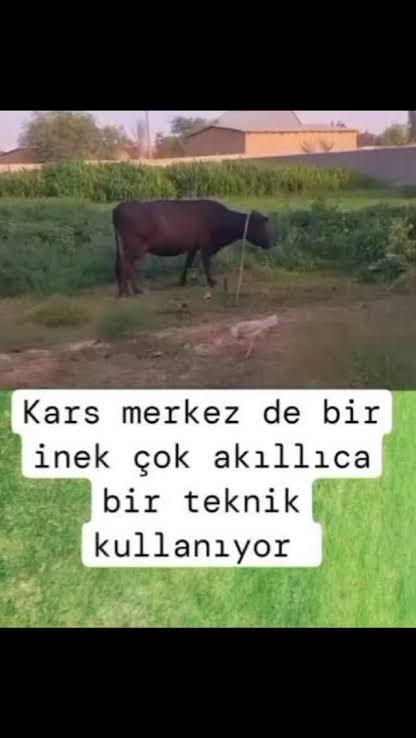 Siz kimin yatağını cennet’e çeviriyorsunuz?