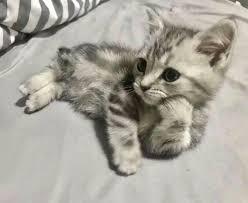 Size tüm kalbiyle gelen bir aşığı geri çevirir misiniz?
