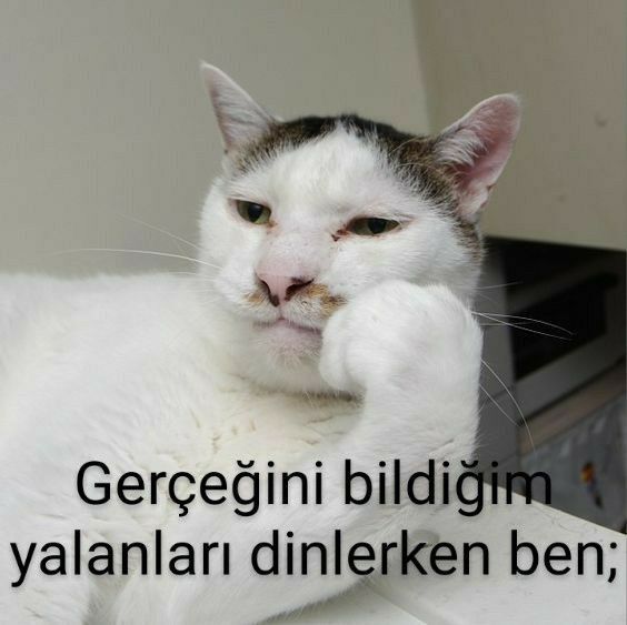 Doğrusunu bildiğin yalanları dinlerken ne tepki veriyorsun?