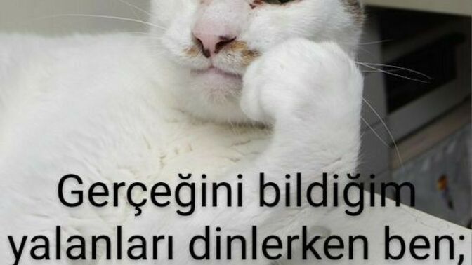 Doğrusunu bildiğin yalanları dinlerken ne tepki veriyorsun?