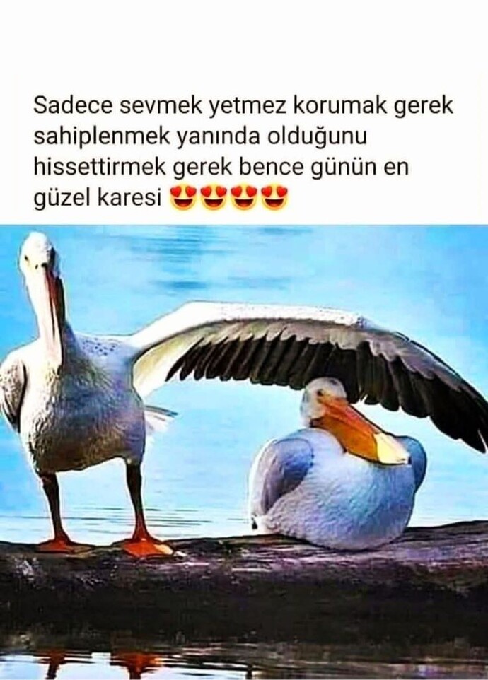 Sadece sevmek yeterli mi?