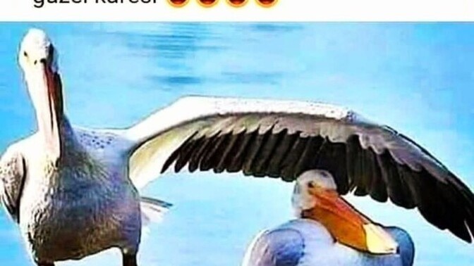 Sadece sevmek yeterli mi?