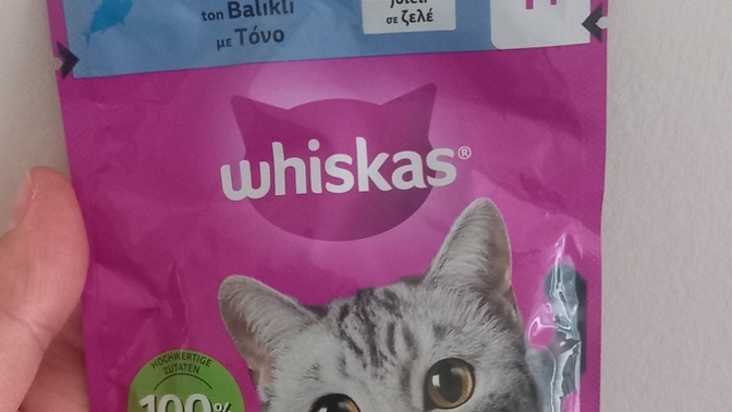Whiskas ton balıklı yaş mama açılmadan oda sıcaklığında kaç günde bozulur?
