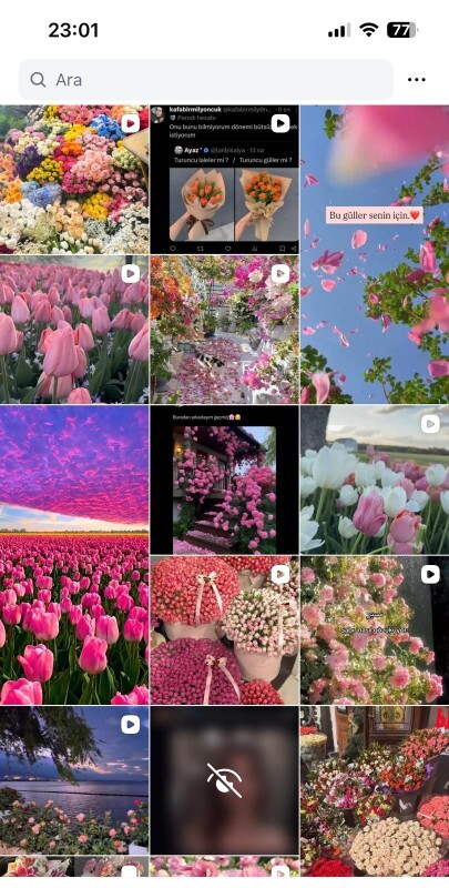 Instagram keşfetiniz nasıl gözüküyor?
