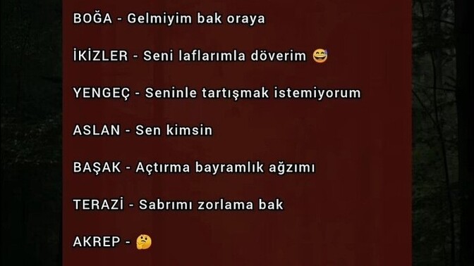 Kavga etmeye meyilli misinizdir?