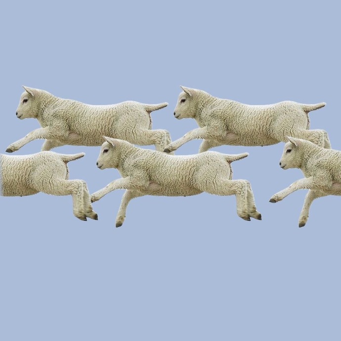 Rüyalarda bir üst sürüm