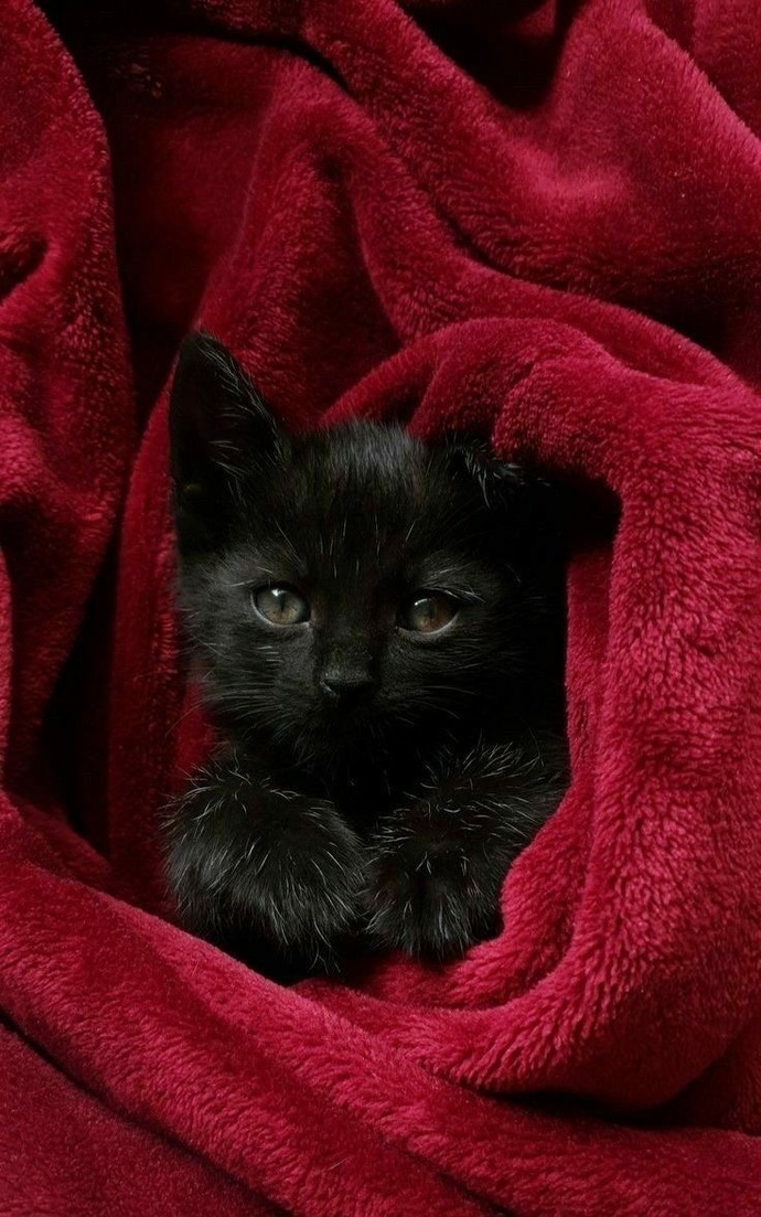 🥰