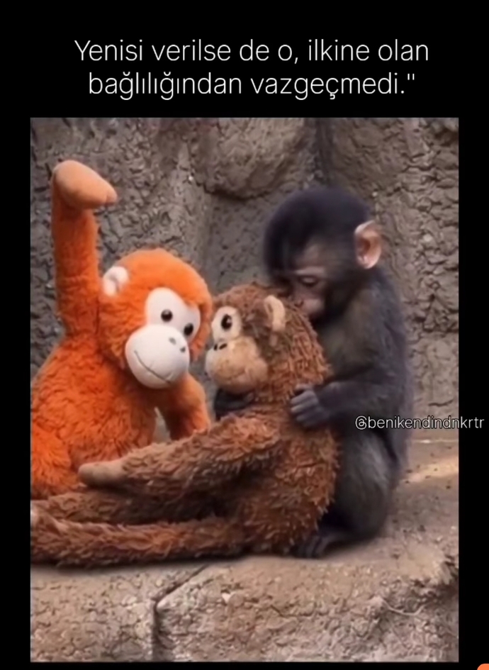 Kim gelirse gelsin yeri dolmayan ve yüzü solmayan biri oldu mu hayatında?