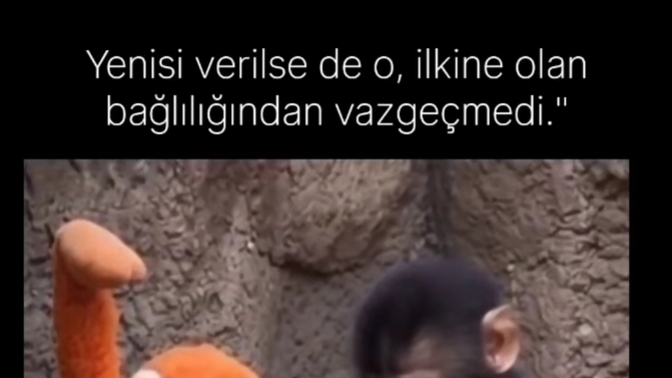 Kim gelirse gelsin yeri dolmayan ve yüzü solmayan biri oldu mu hayatında?