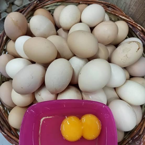 Yumurtanız çift sarılı çıksa mutlu olur musunuz?