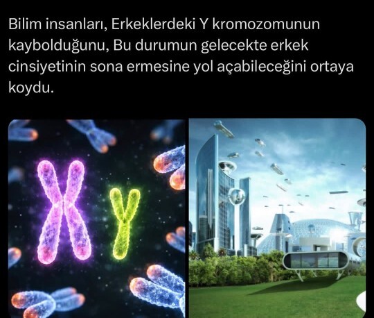 Erkekler gerçekten tamamen kapatılsa toplum, ilişkiler ve hayat nasıl etkilenir?