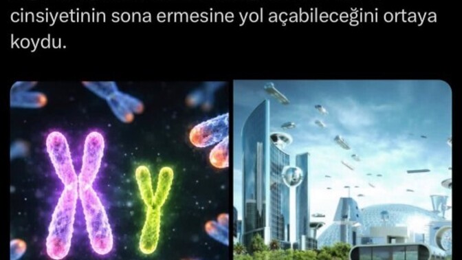 Erkekler gerçekten tamamen kapatılsa toplum, ilişkiler ve hayat nasıl etkilenir?