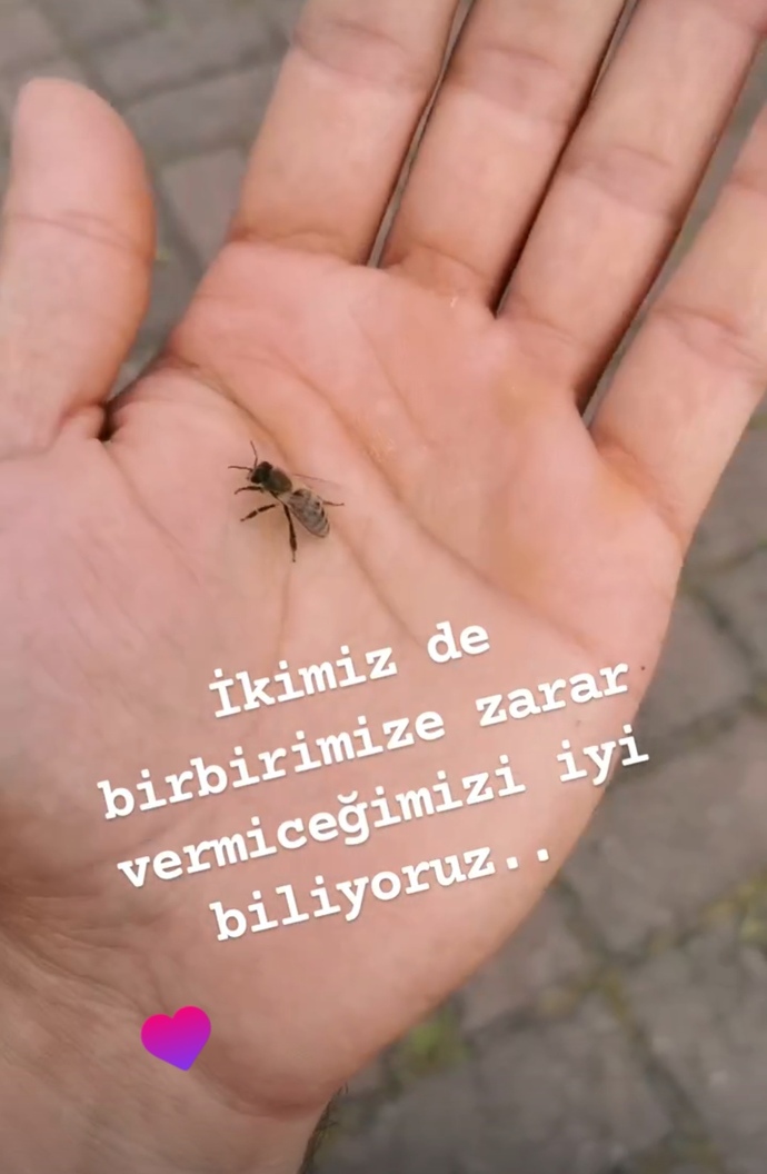 Güven veriyor musunuz?