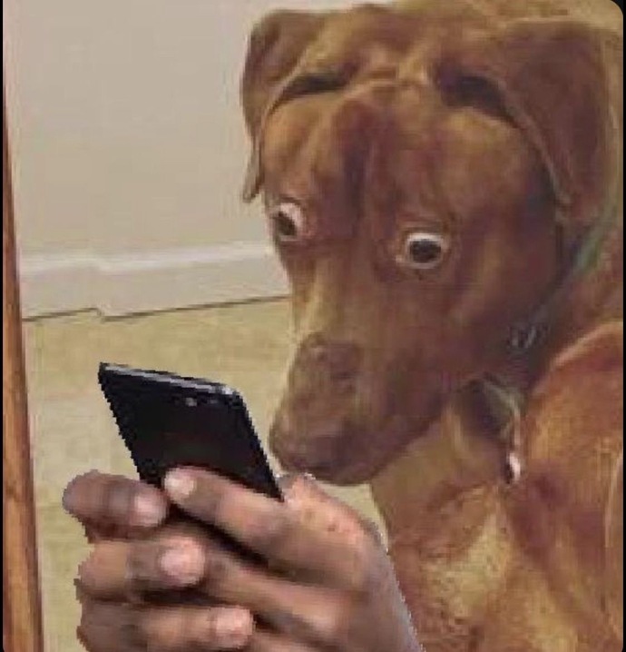 Burcuna göre hangi köpek olduğunu söyleyeyim mi?