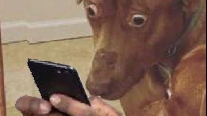 Burcuna göre hangi köpek olduğunu söyleyeyim mi?